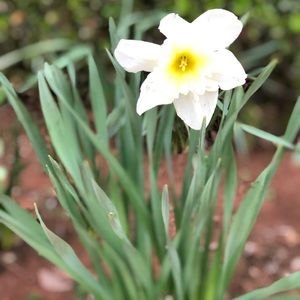 Meet your Posher, Chrissy